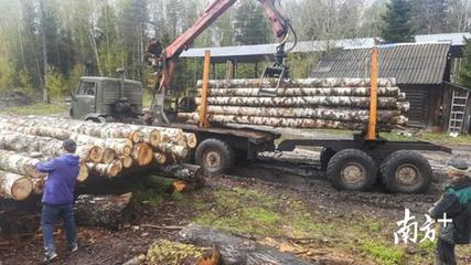 长宏木业:在俄罗斯设木材加工厂,为国内企业提供订单式服务